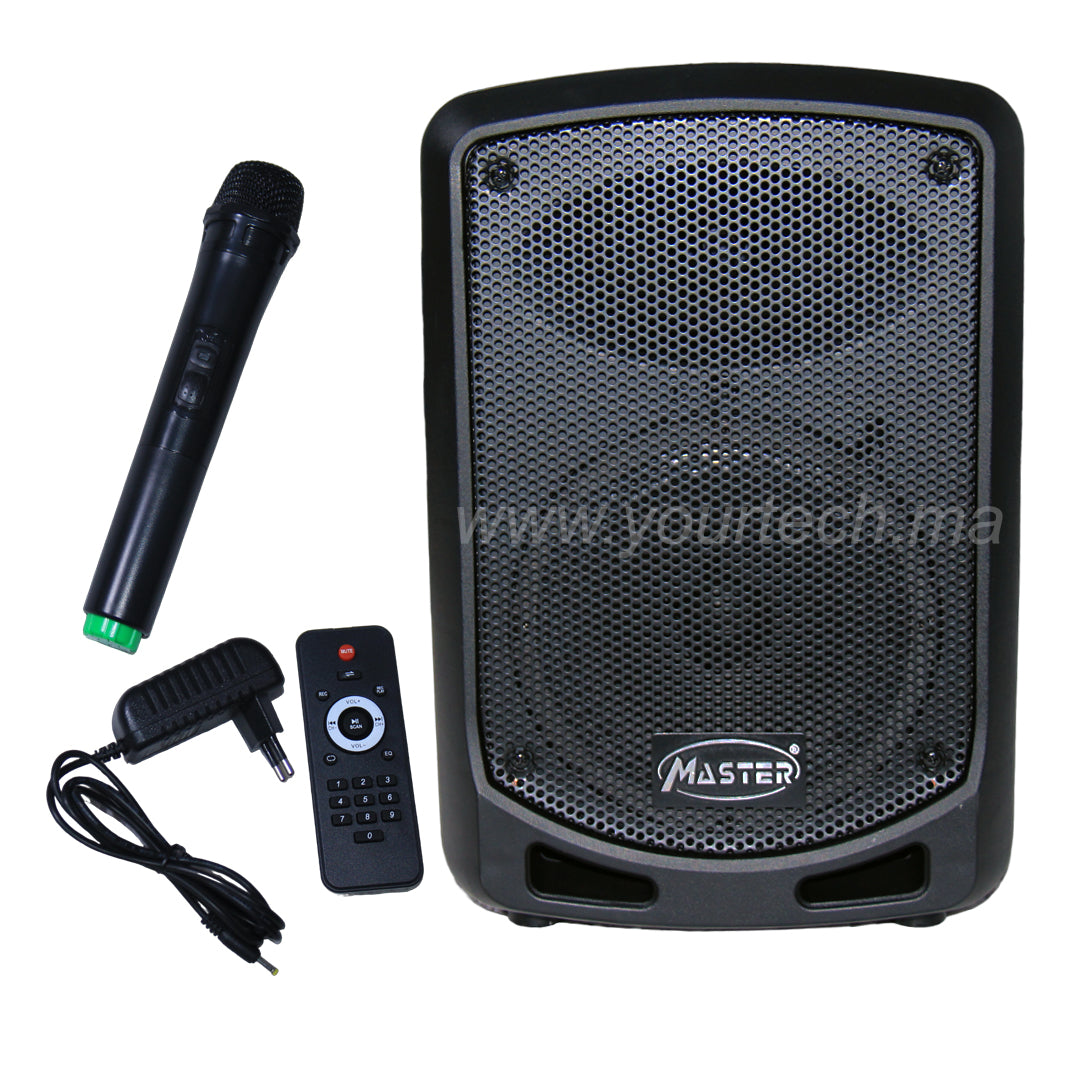 Enceinte Portable A6.5-10 6,5 pouces avec Micro sans Fil