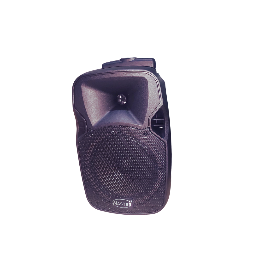 Enceinte Portable 8 Pouces Bluetooth avec 2 Micros Sans Fil et Valise à Roues, Batterie Lithium 6600mAh