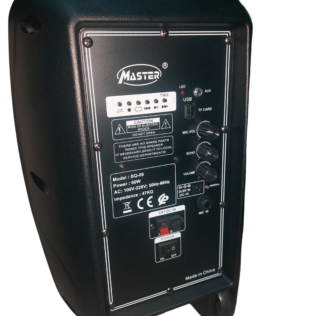 Enceinte Portable 8 Pouces Bluetooth avec 2 Micros Sans Fil et Valise à Roues, Batterie Lithium 6600mAh