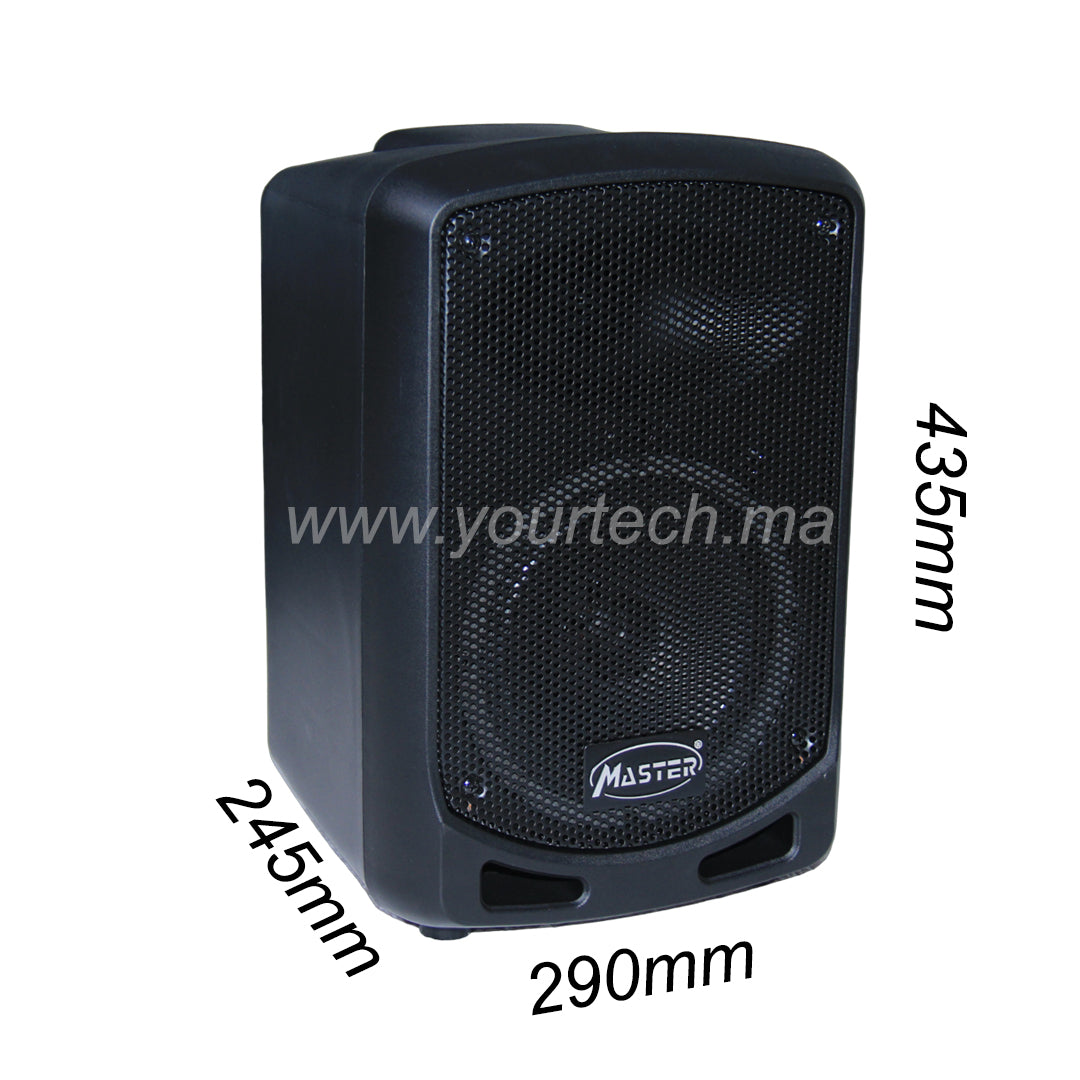 Enceinte Portable A6.5-10 6,5 pouces avec Micro sans Fil