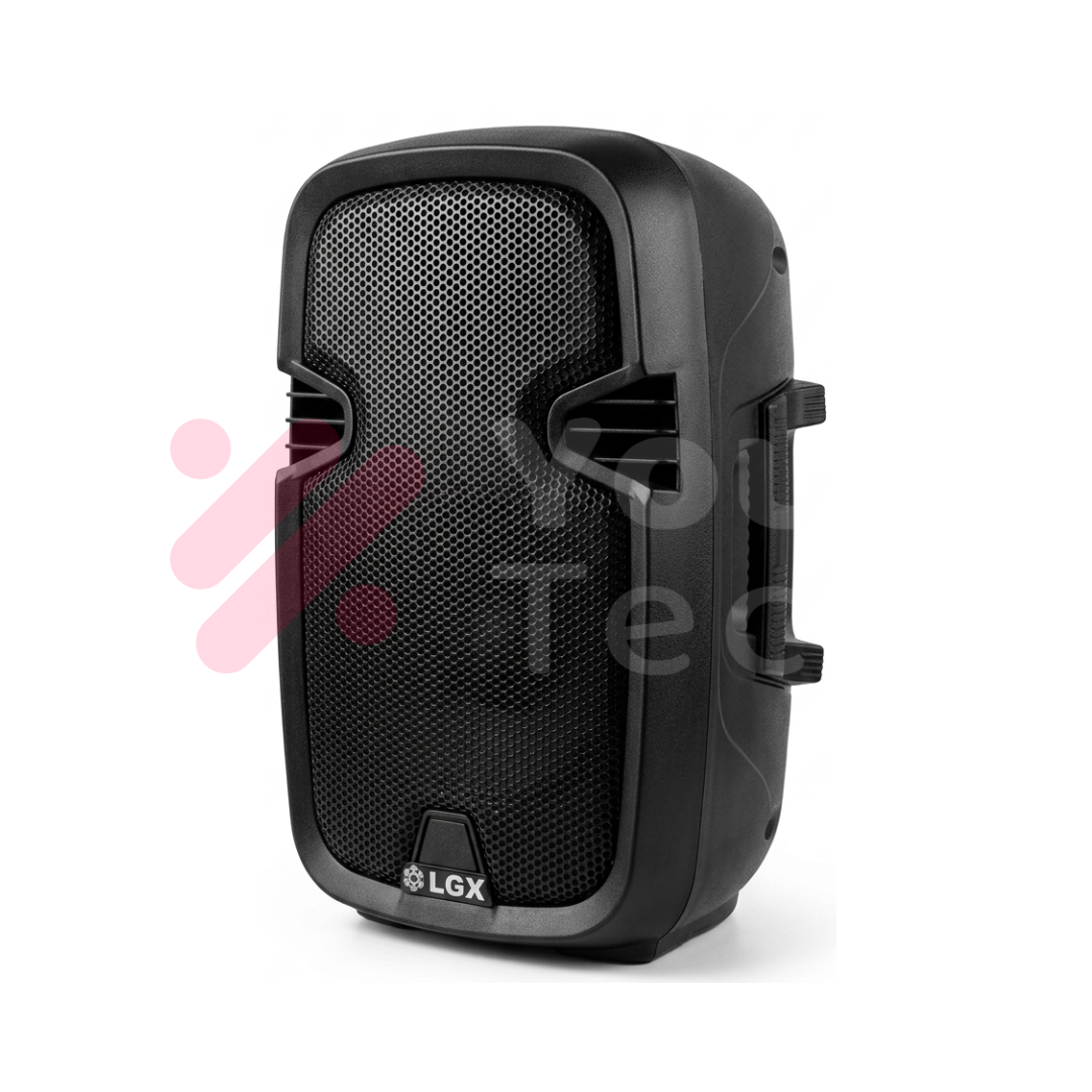 Enceinte Murale LGX 800W pour Amplificateur et Mixeur