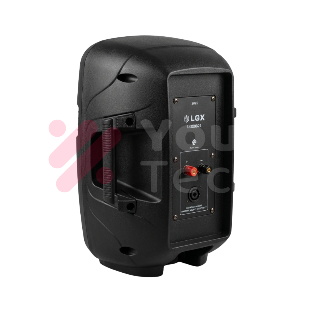 Enceinte Murale LGX 800W pour Amplificateur et Mixeur