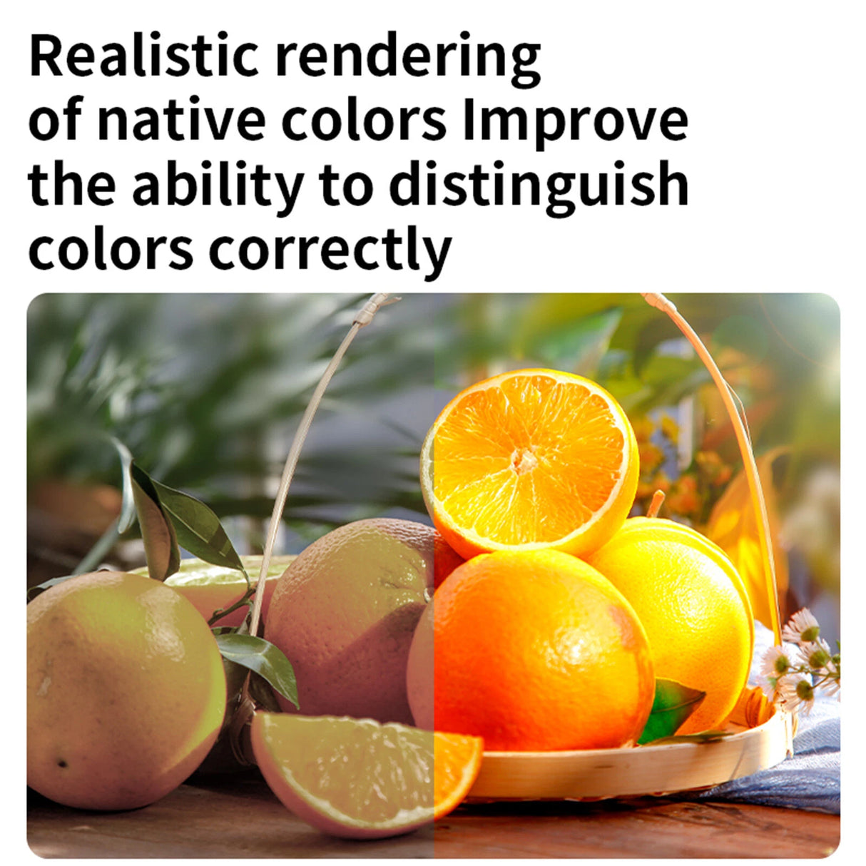 Lumière LED RGB D02 pour Caméra et Smartphone – 10W, Température 2500-9000K, 20 Effets Scènes