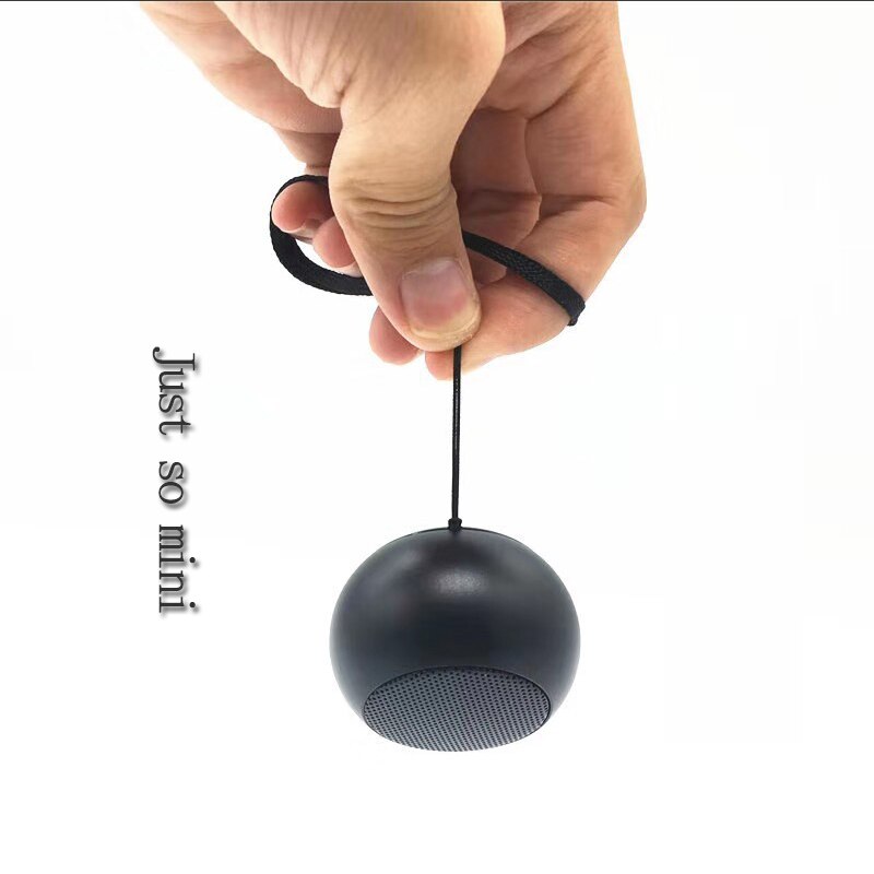 مكبر صوت بلوتوث ستيريو محمول صغير مع مضخم صوت ومكبر صوت يدوي مع ميكروفون لاسلكي