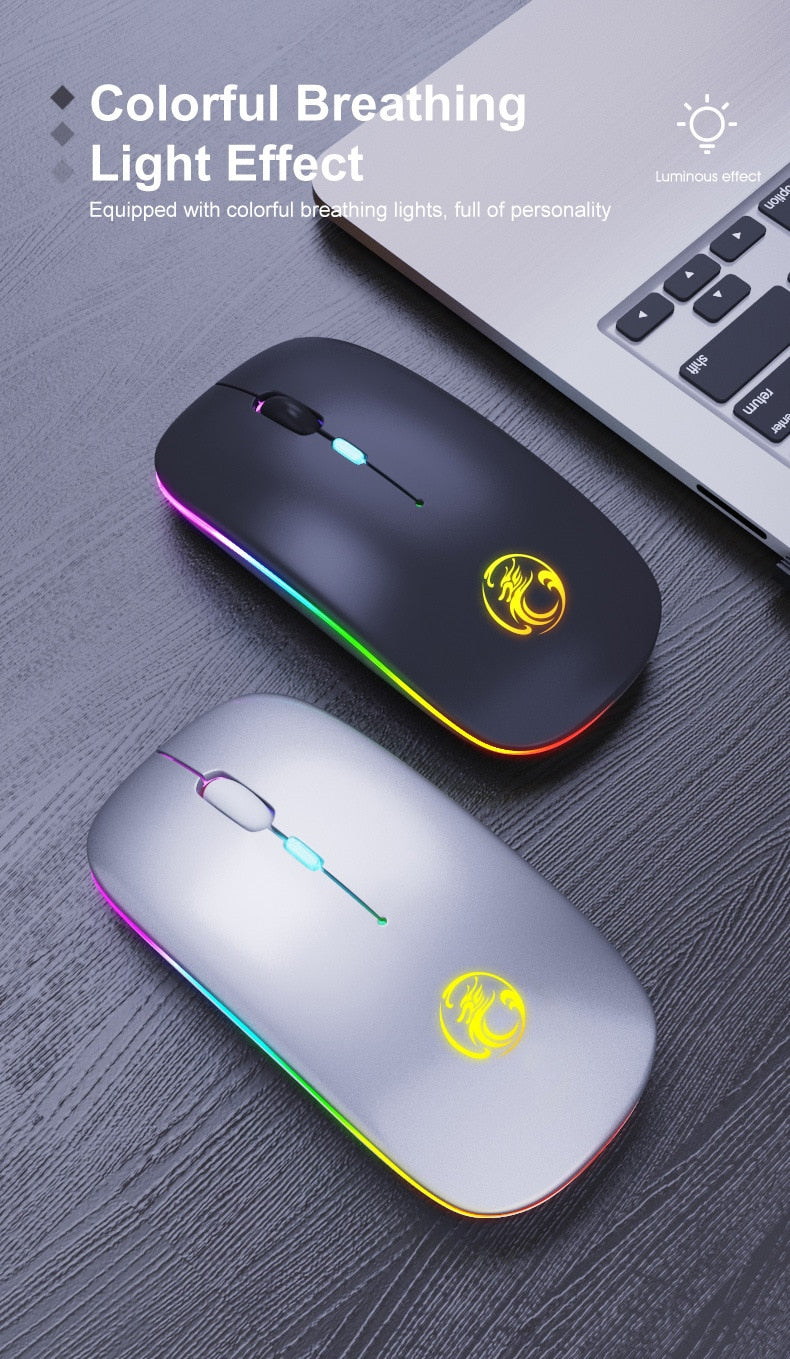 Souris Sans Fil IMICE E-1300 Rechargeable Silencieux RGB