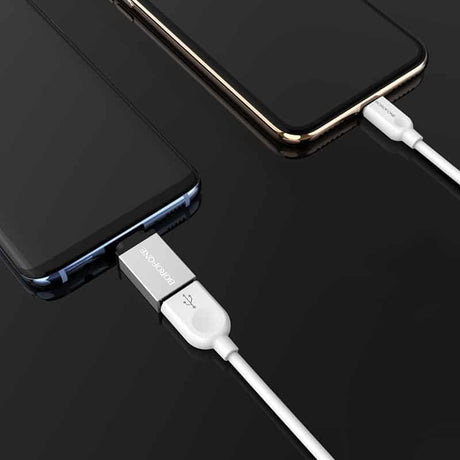Adaptateur USB-A vers USB-C BOROFONE BV3