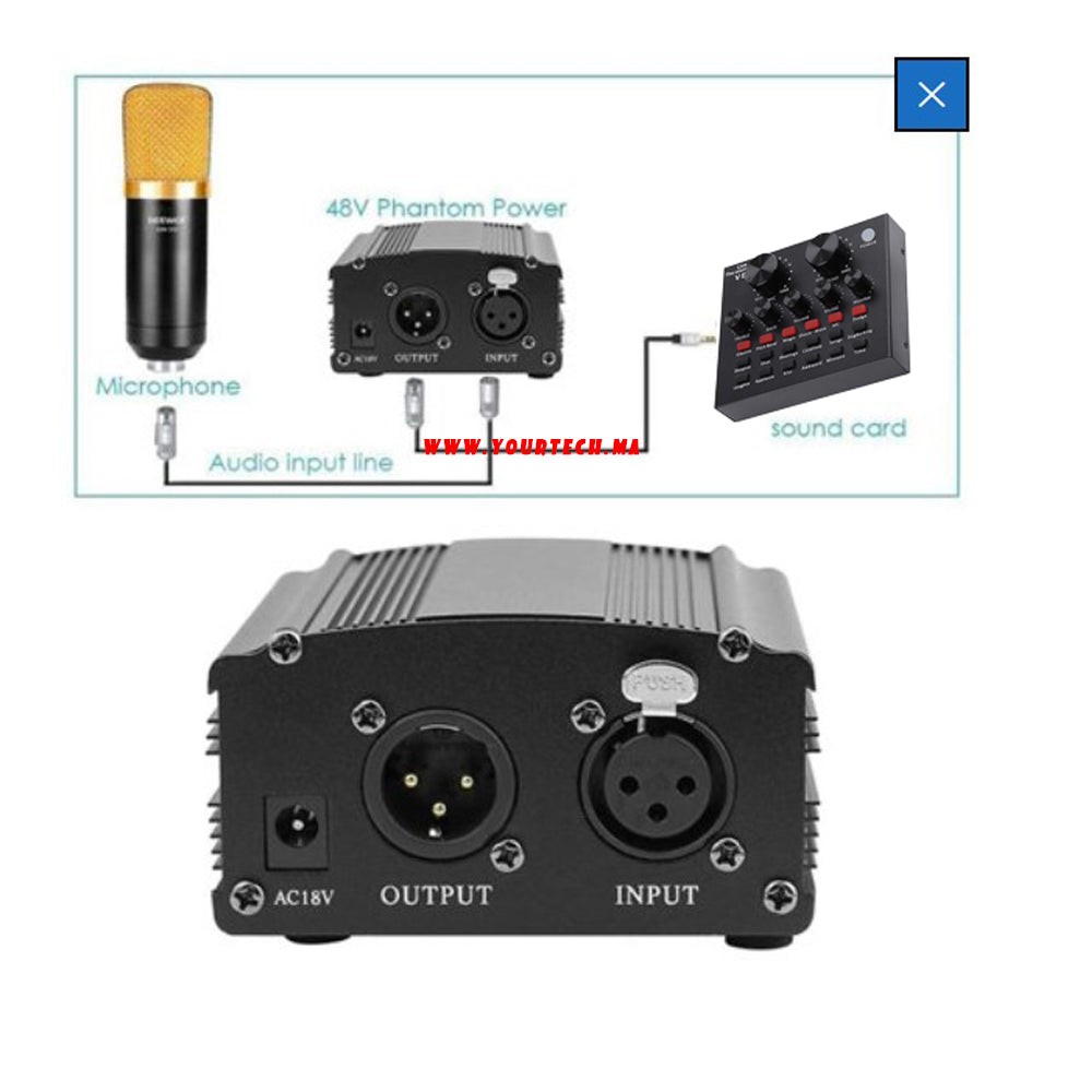 Microphone BM800 avec carte son V8 et alimentation 48V