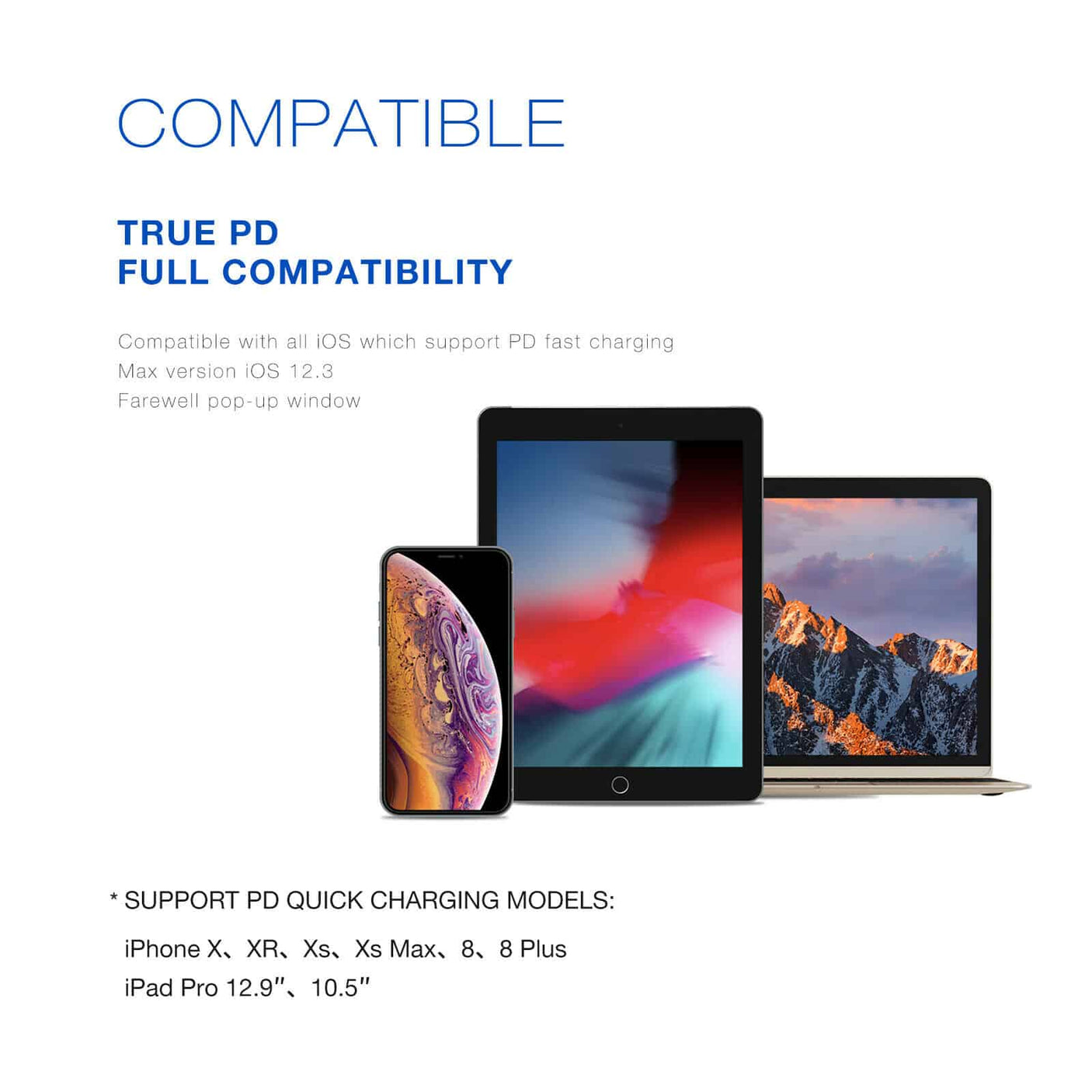 RECCI Type-C TO Lightning PD 18W Power Delivery Câble de charge rapide pour Iphone C