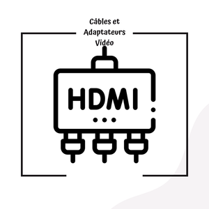Câbles et Adaptateurs Vidéo