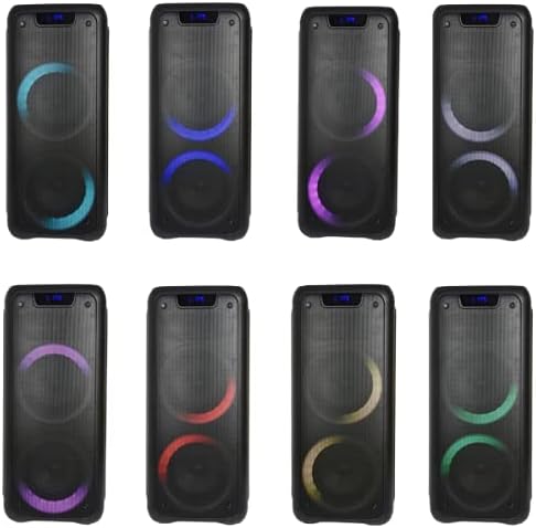 Enceinte LGX23605 2000W avec Micro Sans Fil et LED Multicolores