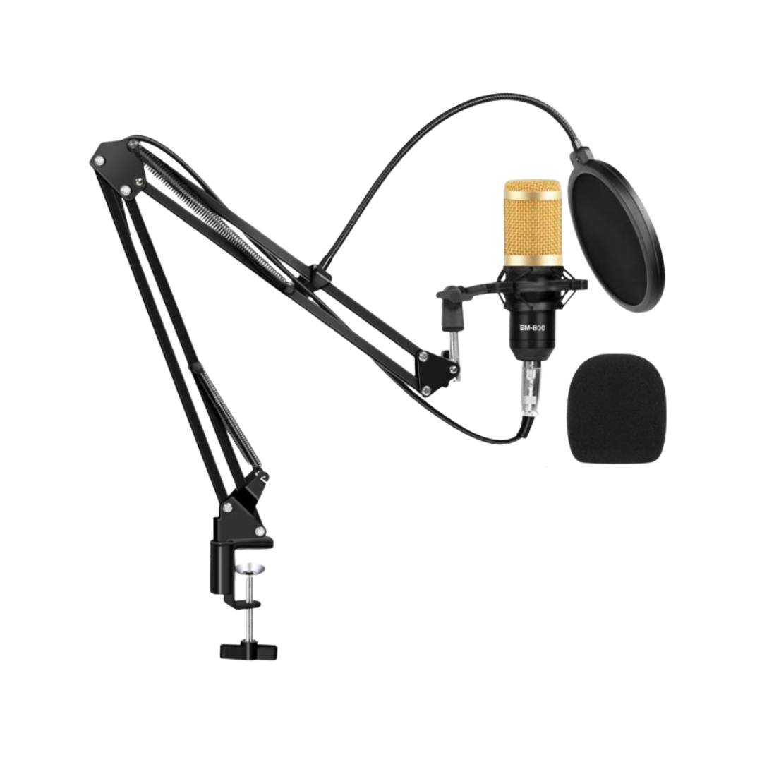 Kit Microphone Professionnel BM800 avec Carte Son C100 – Alimentation 48V – XLR