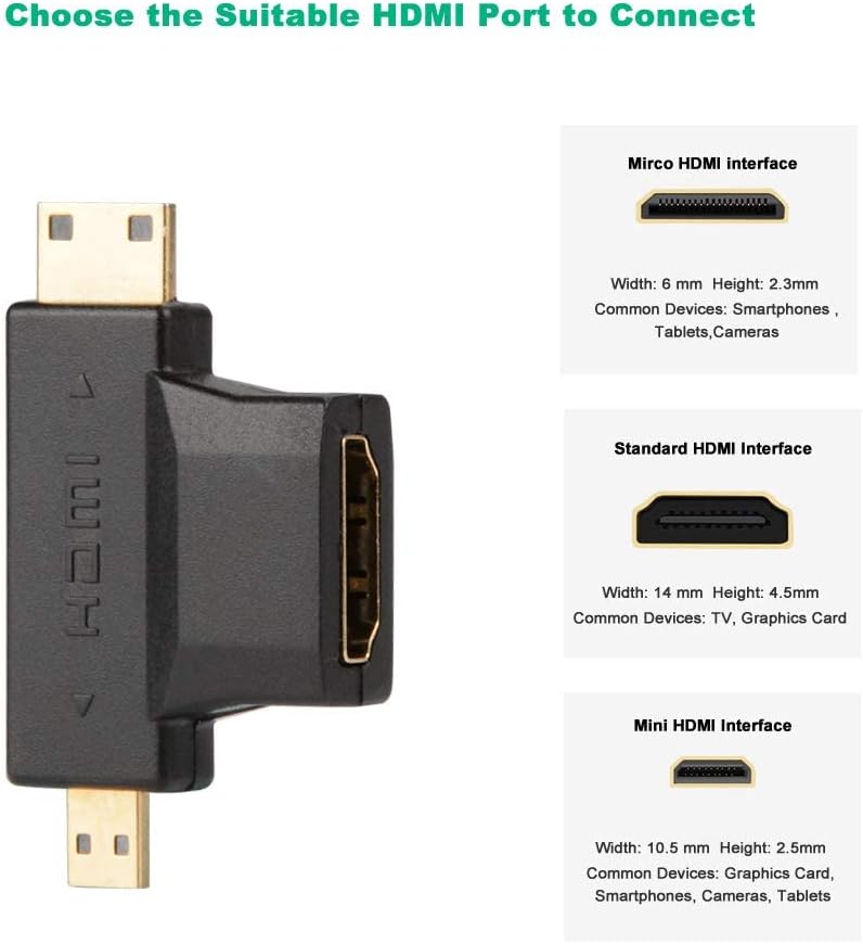 Adaptateur HDMI 2-en-1 Mini/Micro vers HDMI Femelle