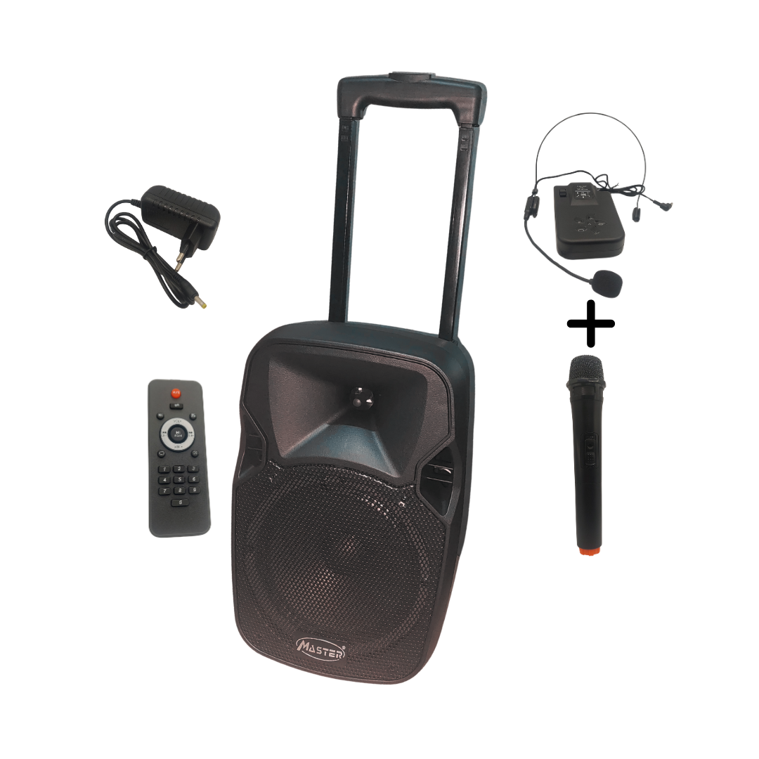 Enceinte Portable 8 Pouces Bluetooth avec 2 Micros Sans Fil et Valise à Roues, Batterie Lithium 6600mAh