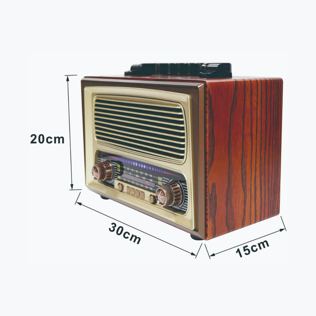 Radio Bluetooth Voiture Multifonction avec Lecteur MP3, FM/AM, USB, TF, Aux et Télécommande