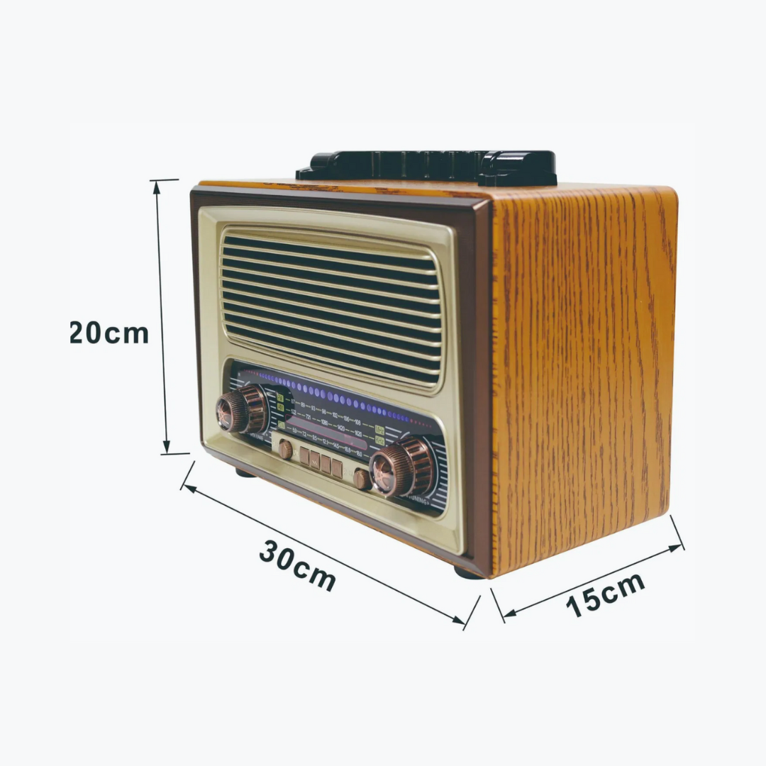 Radio Bluetooth Voiture Multifonction avec Lecteur MP3, FM/AM, USB, TF, Aux et Télécommande