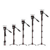 Weifeng WF-3958M – Monopod Professionnel en Aluminium avec Tête Fluide