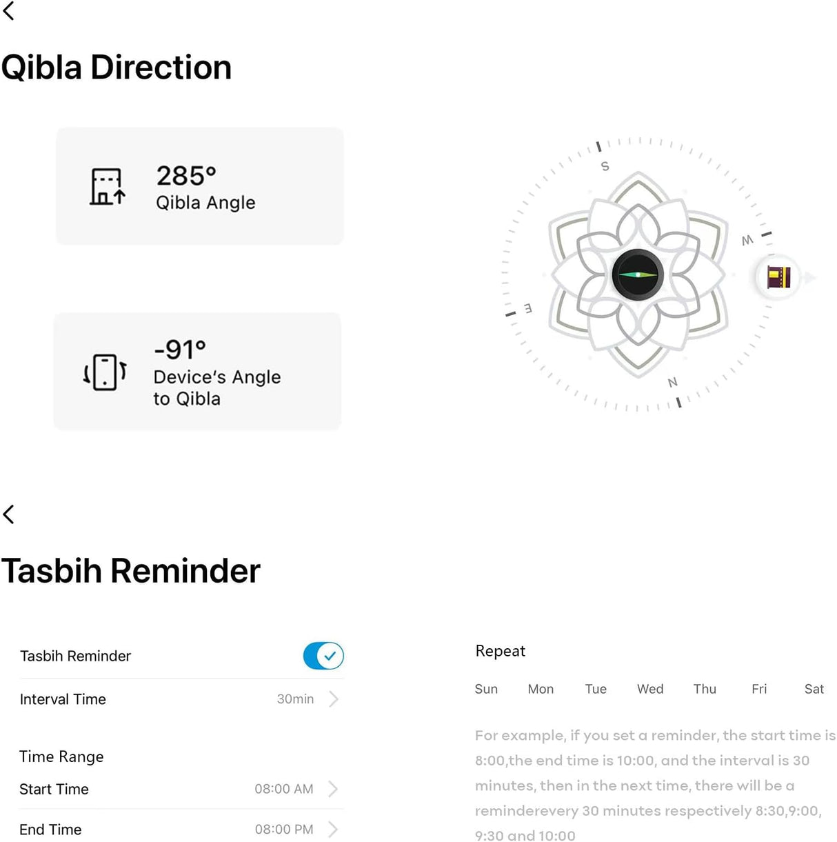Smart Watch PEJE ZW13-AMD AMOLED 1,43″ Appels Bluetooth IP68