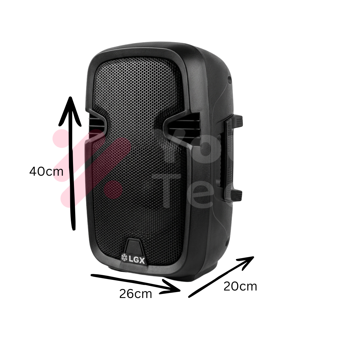 Enceinte Murale LGX 800W pour Amplificateur et Mixeur