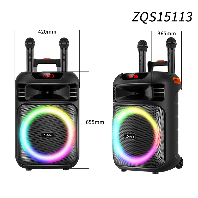 Enceinte Portable 15" avec Batterie Rechargeable, 2 Micro, Lumières LED RGB, Bluetooth et Télécommande