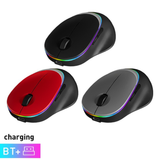 Souris Sans Fil Ergonomique Royal W990 Rechargeable 5-en-1