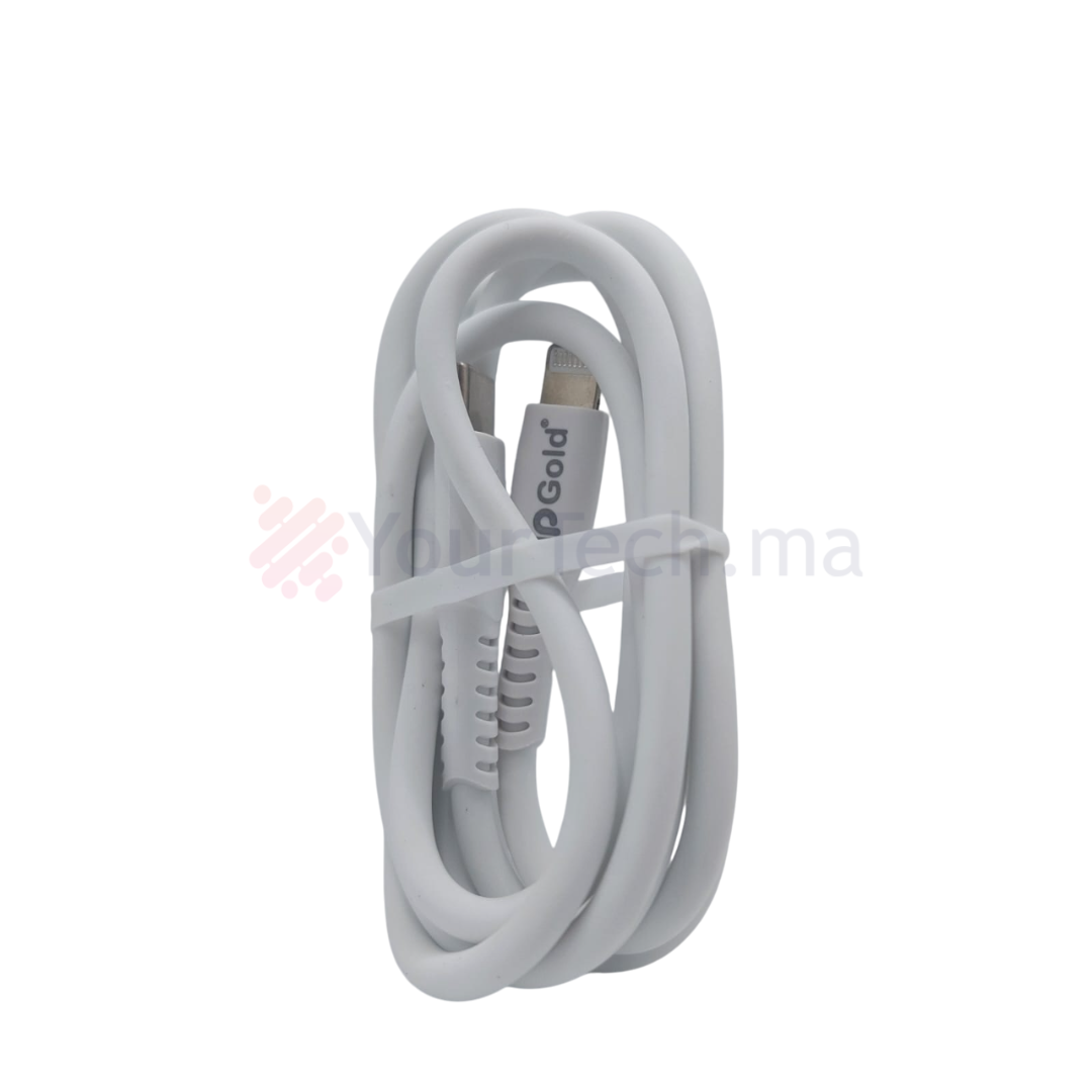 Chargeur Rapide USB 18W et Type-C 30W avec Multi-Protection pour Lightning - IPGold IP-D23