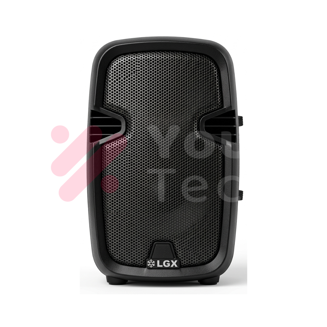 Enceinte Murale LGX 800W pour Amplificateur et Mixeur