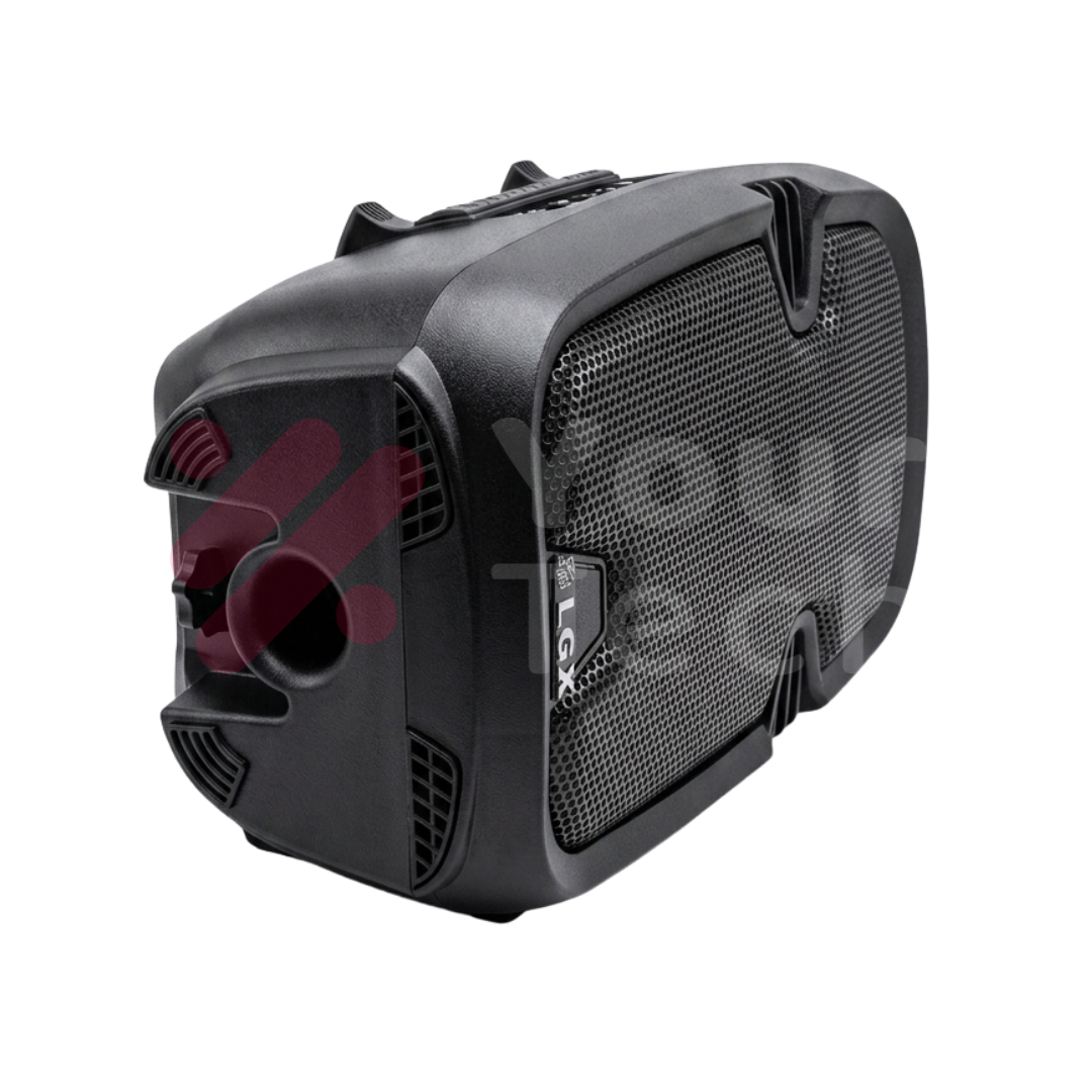 Enceinte Murale LGX 800W pour Amplificateur et Mixeur