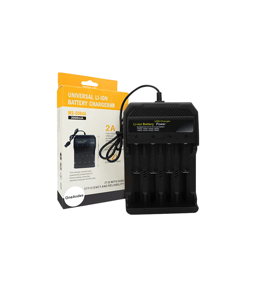 Chargeur Universel pour Piles Rechargeable 2A: Facile et Rapide