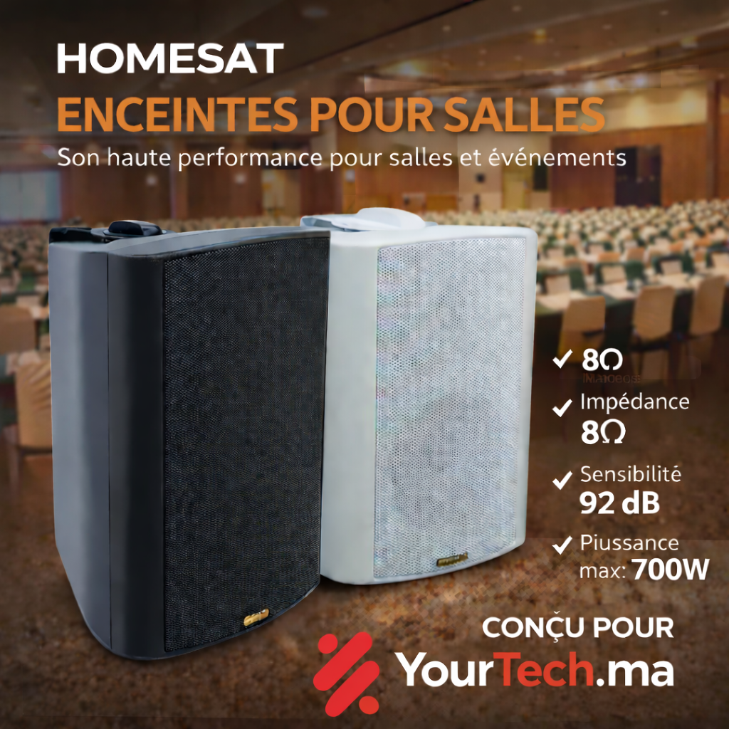 Pack 2 Haut-parleurs Muraux LGX 500W | 700W – 8Ω