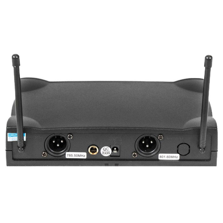 Système Micro Sans Fil LGX25580 – 2 Broches + 2 Diadèmes avec Valise