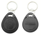 Porte-clés RFID TK4100 EM4100: Lecture seule, Contrôle d'accès, 125KHz