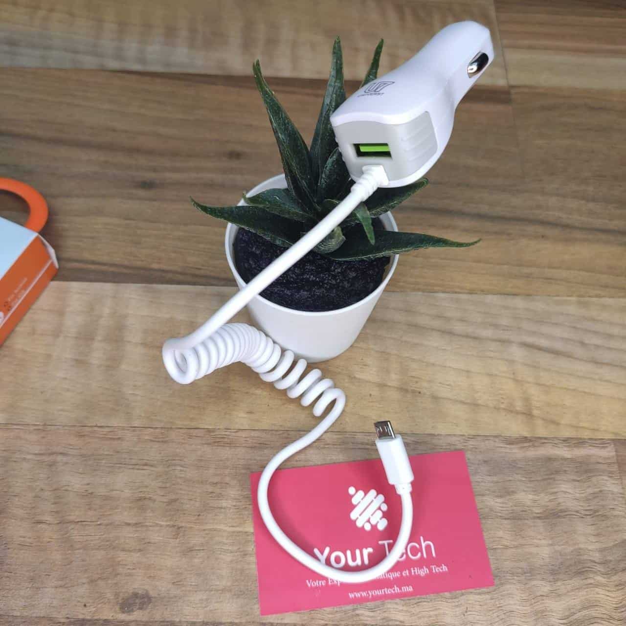 chargeur rapide avec micro câble et port usb chargeur rapide 2.4A pour android et IOS