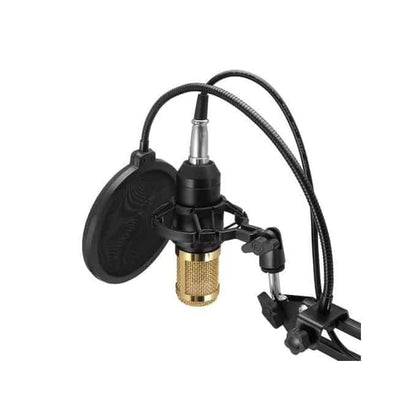 Pack Microphone Studio BM800 avec son Support Flexible