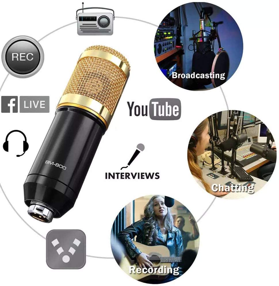 Microphone BM800 avec carte son V8 et alimentation 48V