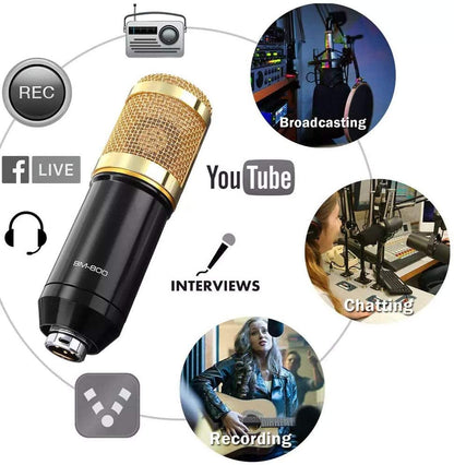 Microphone BM800 avec carte son V8 et alimentation 48V