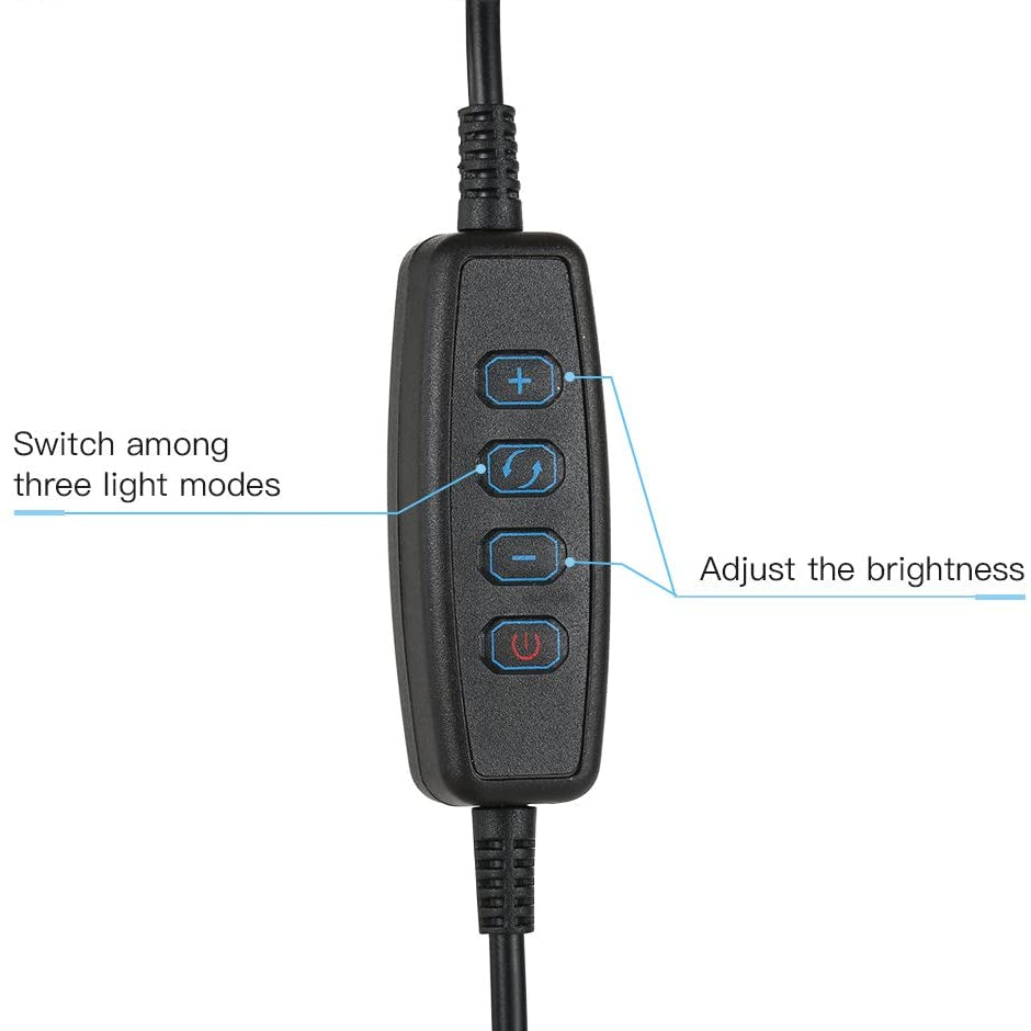 Ring Light Selfie avec support de téléphone portable à pince pour diffusion en direct