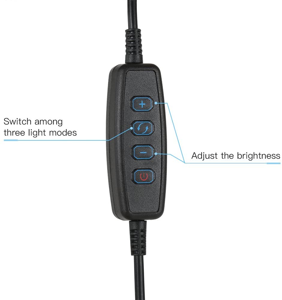 Ring Light Selfie avec support de téléphone portable à pince pour diffusion en direct