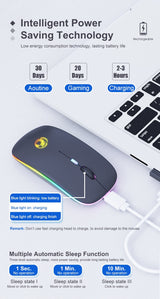 Souris Sans Fil IMICE E-1300 Rechargeable Silencieux RGB