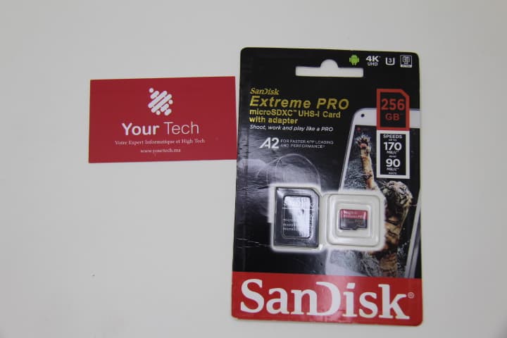 Carte mémoire SanDisk 256 Go Ultra, Extreme et Extreme Pro