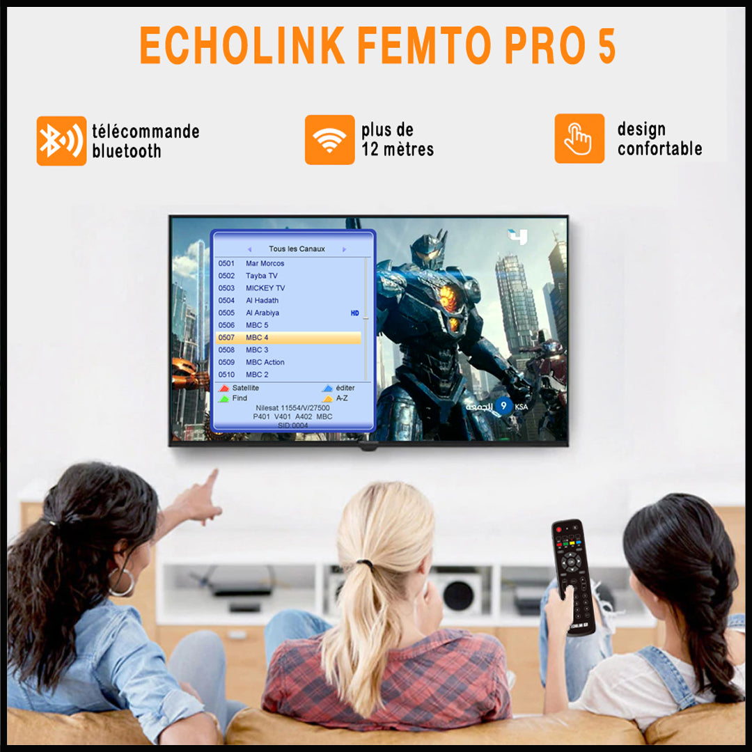 Recepteur Echolink Femto Pro 5 avec Wifi intégré