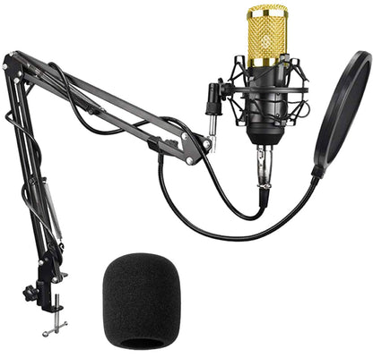 Microphone BM800 + Carte Son Audio V8 + Écouteur + Phantom + XLR cable